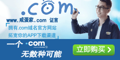 一个.com域名,无数种可能